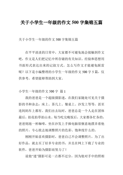 关于小学生一年级的作文500字集锦五篇