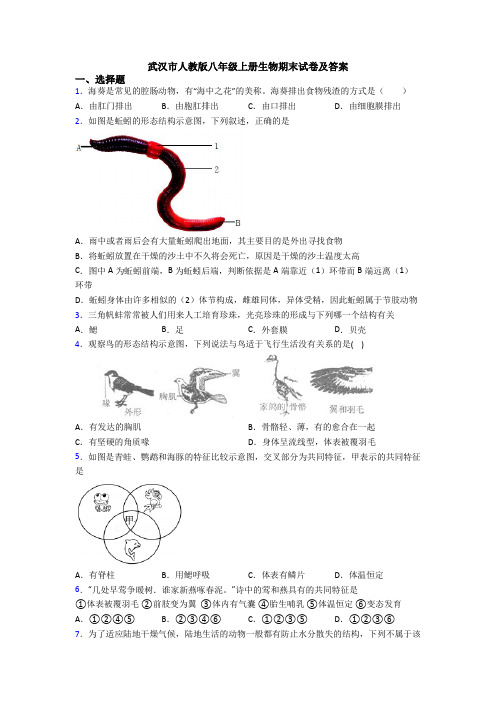 武汉市人教版八年级上册生物期末试卷及答案