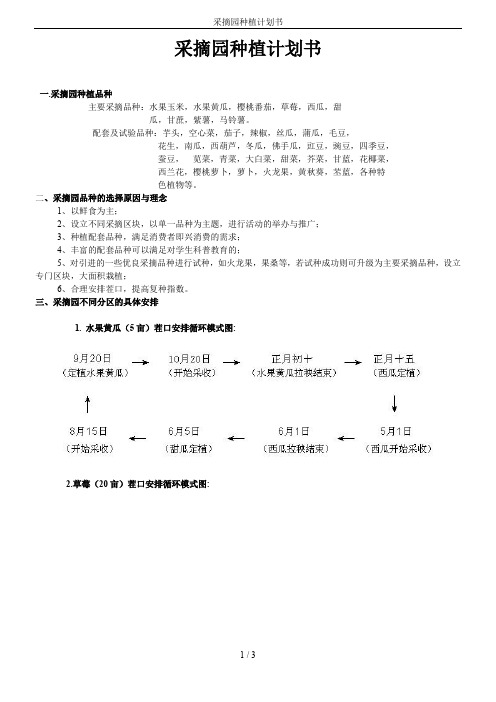 采摘园种植计划书