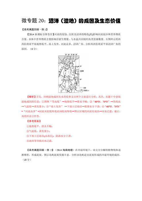 微专题20:沼泽(湿地)的成因及生态价值微专题