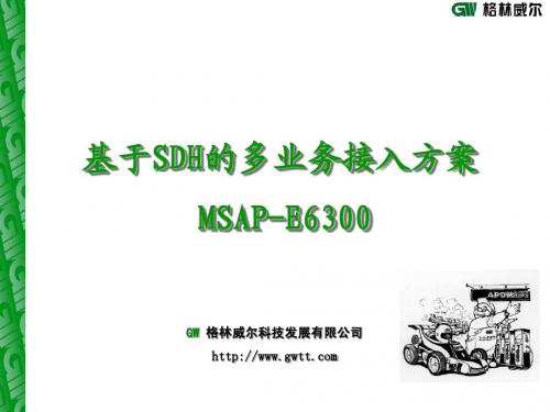 MSAP-_格林威尔_E6300