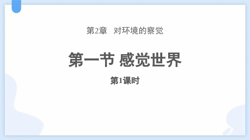 浙教版七年级科学下册《感觉世界》PPT精品课件