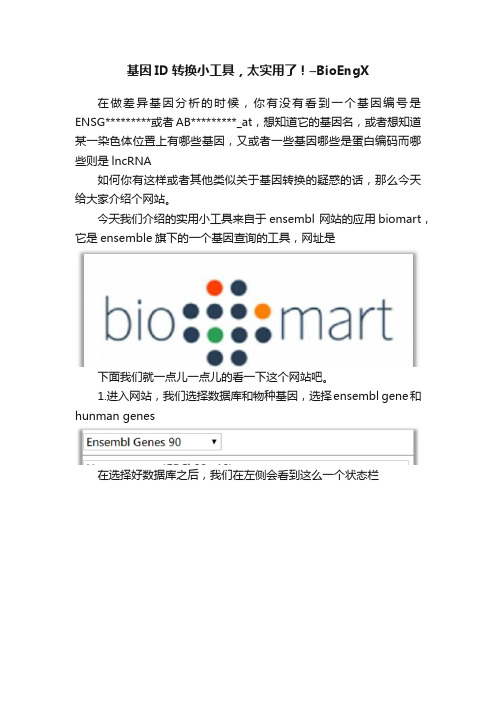 基因ID转换小工具，太实用了！–BioEngX