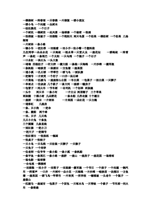 数量词练习