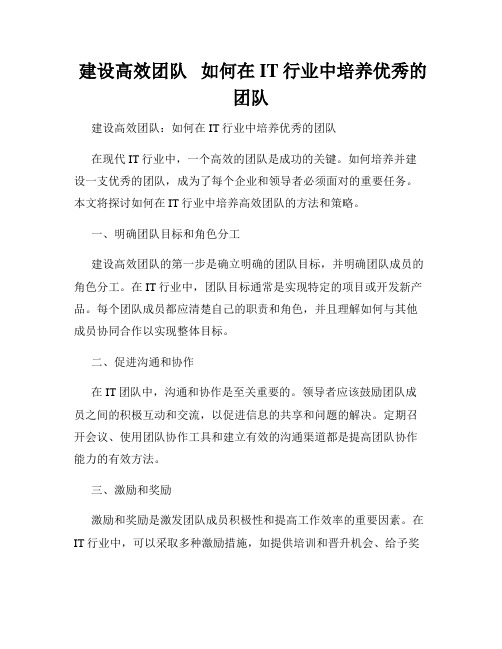  建设高效团队   如何在IT行业中培养优秀的团队