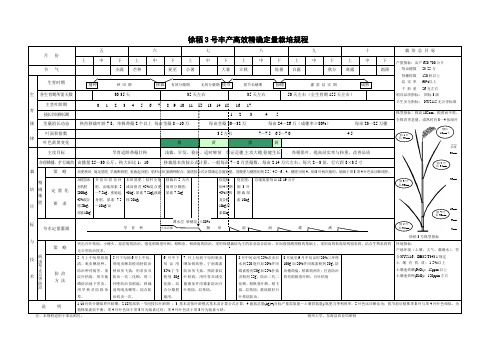 水稻精确定量栽培技术规范模式图示例