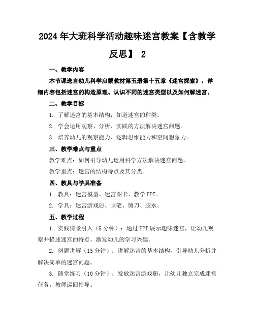 2024年大班科学活动趣味迷宫教案【含教学反思】2