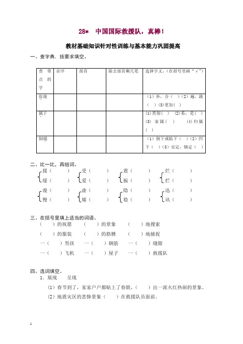 【精品】部编人教版小学三年级语文下册同步练习：28中国国际救援队,真棒!.doc