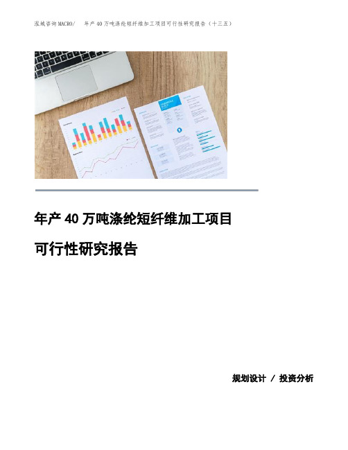 年产40万吨涤纶短纤维加工项目可行性研究报告(十三五)