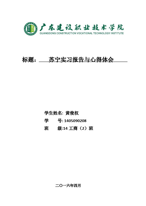 苏宁实习报告与心得体会