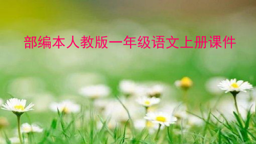 人教版(部编本)一年级上册语文一年级语文上册《zh-ch-sh-r》教学课件 精品ppt课件