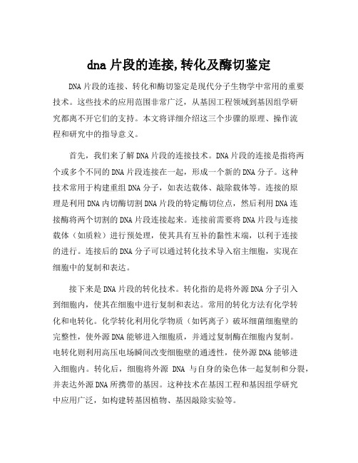 dna片段的连接,转化及酶切鉴定