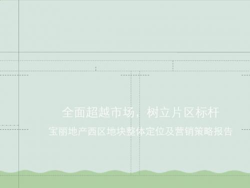 地产项目整体定位及营销策略报告(ppt 201页)