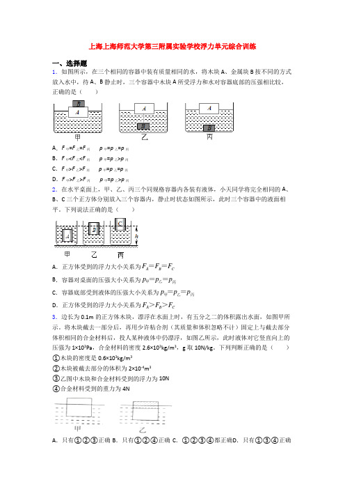 上海上海师范大学第三附属实验学校浮力单元综合训练