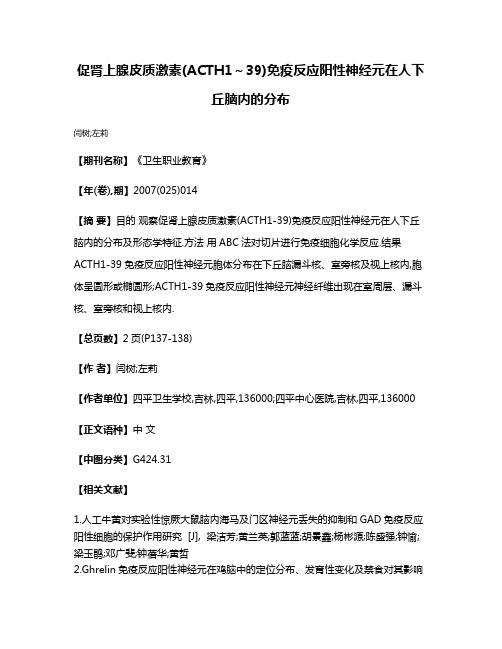 促肾上腺皮质激素(ACTH1～39)免疫反应阳性神经元在人下丘脑内的分布