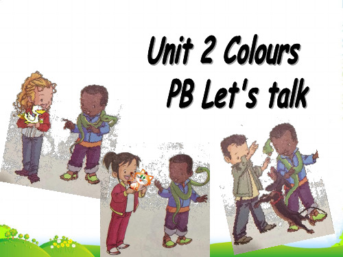 人教版(PEP)三年级英语上册Unit2 Colours!PartB Let's talk课件