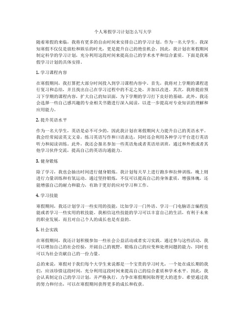 个人寒假学习计划怎么写大学