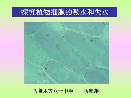 探究植物细胞的吸水和失水说课课件