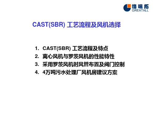 CAST(SBR)工艺流程及风机选型