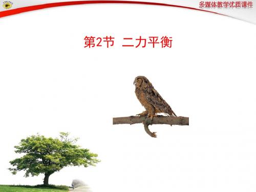 北师大版物理八年级下册《现象到本质——相互作用与能量 第七章 运动和力 五、二力平衡》公开课课件_1