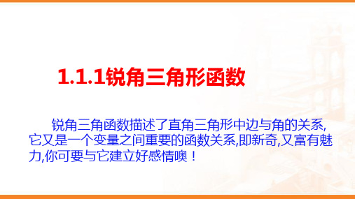 锐角三角形函数(共19张ppt)北师大版九年级下册数学