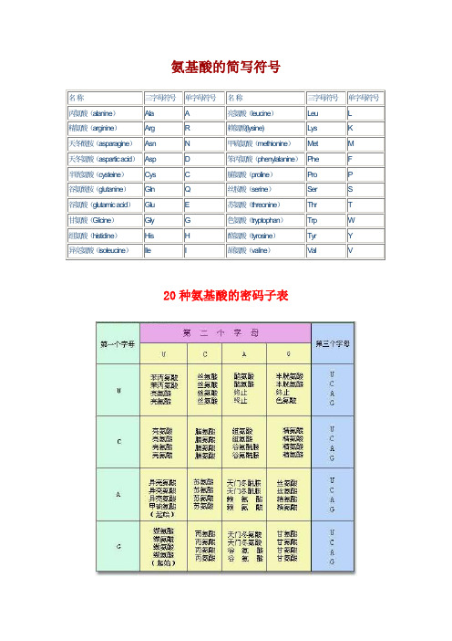 氨基酸简写和密码子表