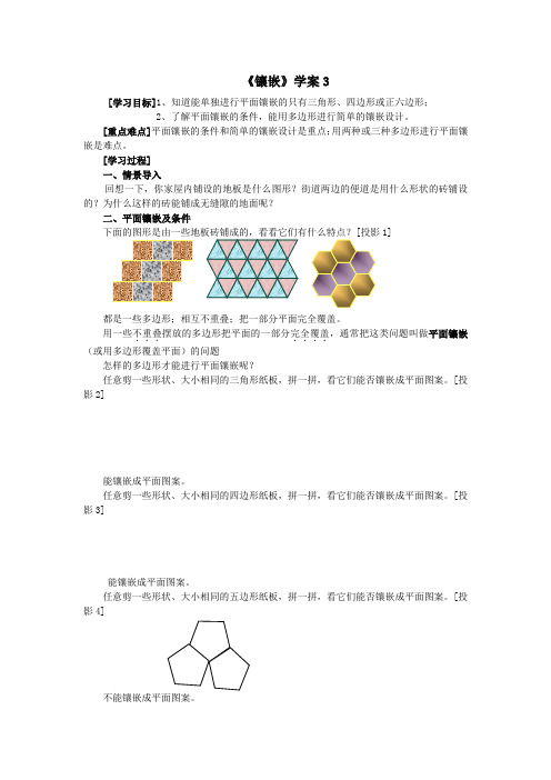 初中数学《镶嵌》学案3