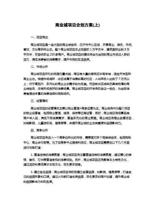 商业城项目企划方案(上)