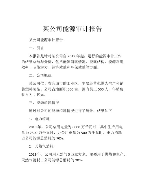 某公司能源审计报告