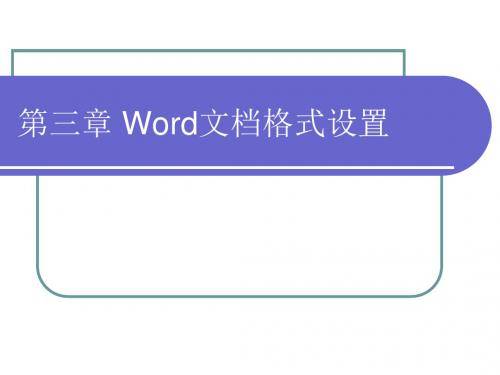 Word文档格式设置