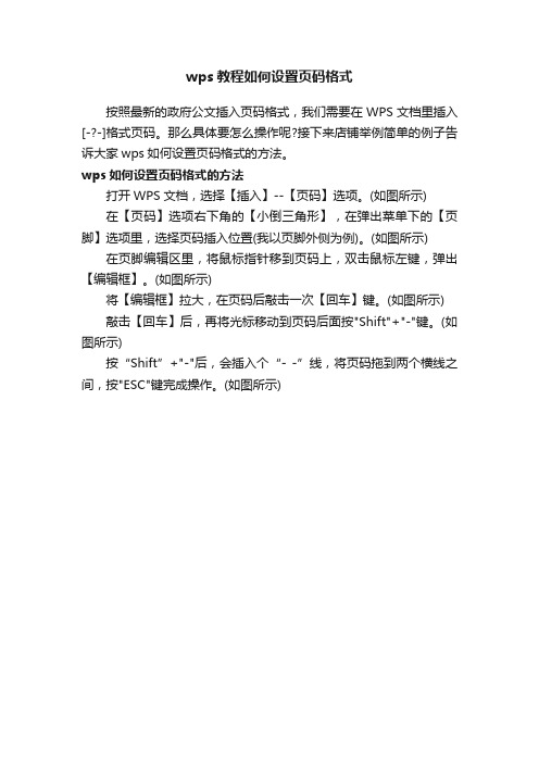 wps教程如何设置页码格式