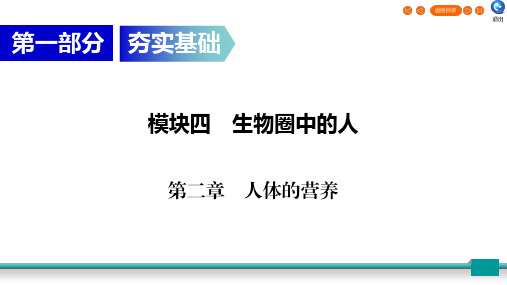 2020广东中考生物总复习指南(课件)生物圈中的人第1部分 第2章