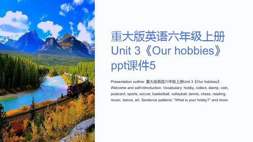 重大版英语六年级上册Unit 3《Our hobbies》课件5