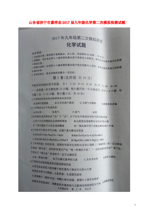 嘉祥2017届九年级化学第二次模拟检测试题(扫描版)