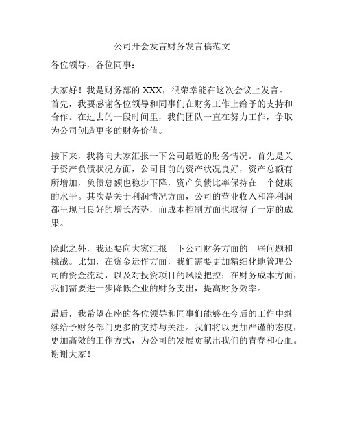 公司开会发言财务发言稿范文