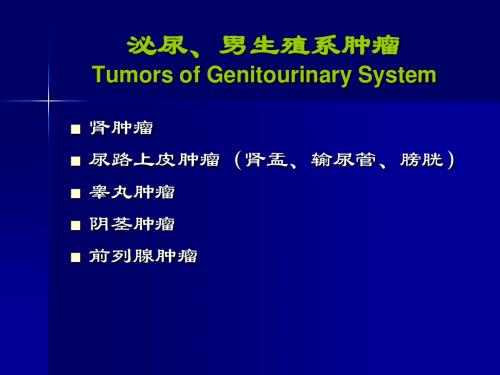 泌尿、男生殖系肿瘤ppt课件