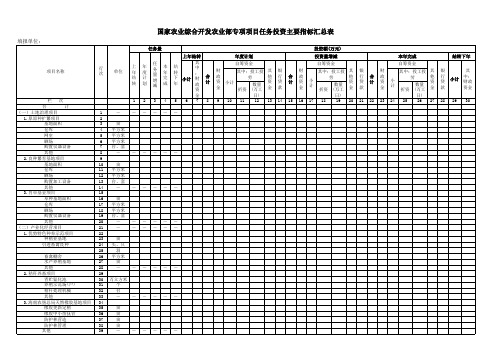 农业综合专项项目任务效益投资主要指标汇总表Excel模板