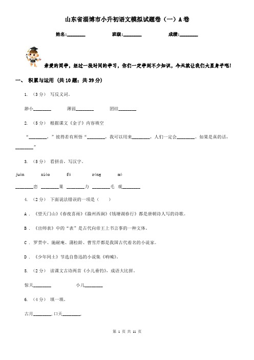 山东省淄博市小升初语文模拟试题卷(一)A卷