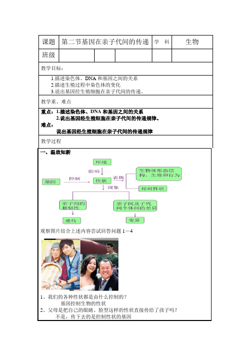 八年级生物下册教案-7.2.2基因在亲子代间的传递6-人教版