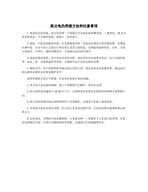 斑点龟的养殖方法和注意事项