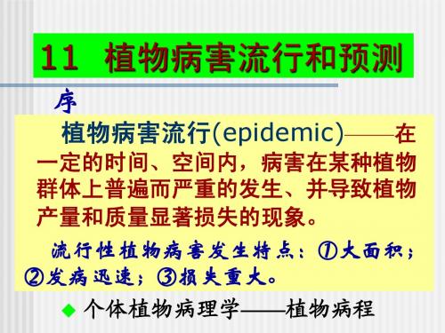 11 植物病害流行和预测