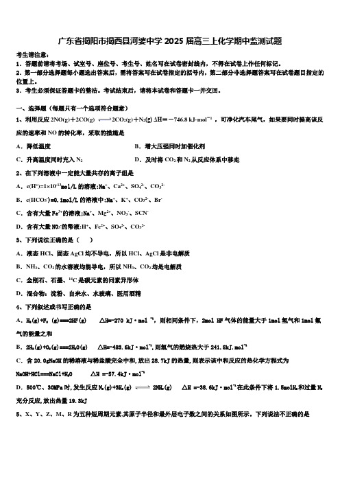 广东省揭阳市揭西县河婆中学2025届高三上化学期中监测试题含解析