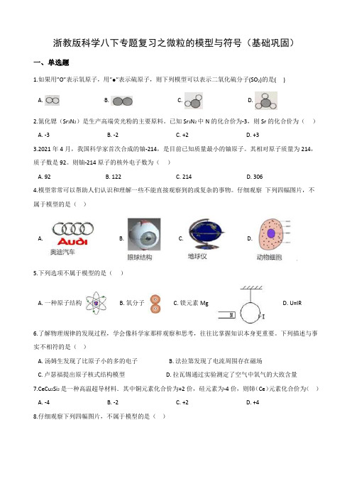 浙教版科学八下专题复习之微粒的模型与符号(基础巩固)--2021—2022学年八升九暑假作业巩固提升