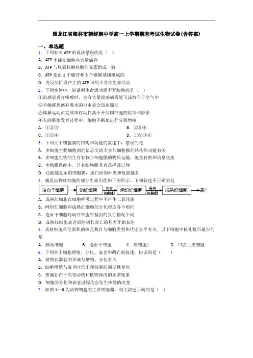 黑龙江省海林市朝鲜族中学高一上学期期末考试生物试卷(含答案)