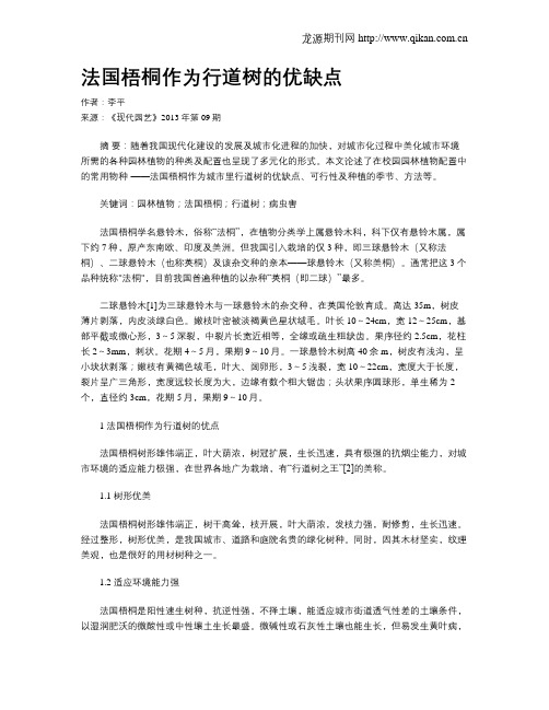 法国梧桐作为行道树的优缺点