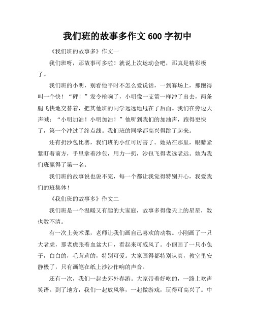 我们班的故事多作文600字初中