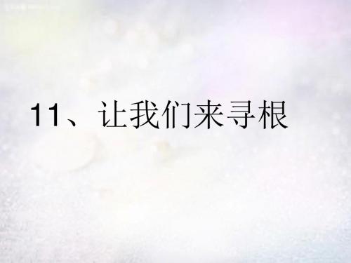 2015秋五年级品社上册《让我们寻根》课件3 苏教版