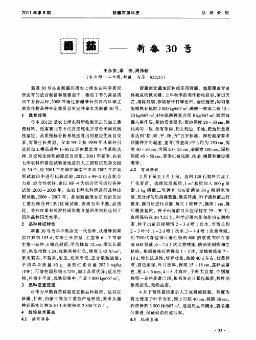 番茄——新番30号