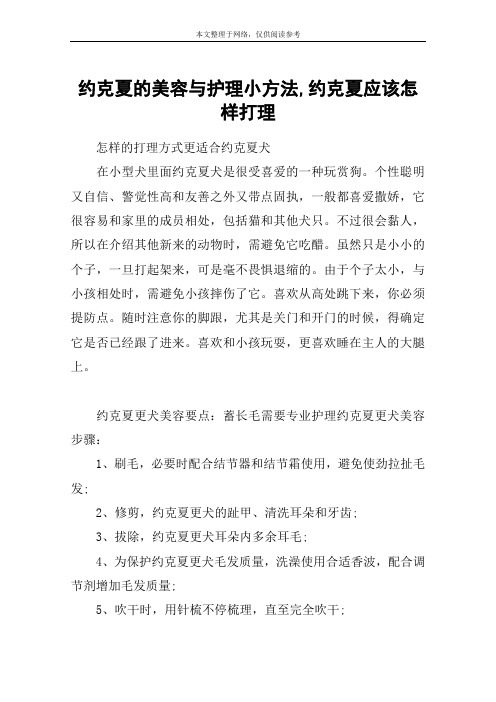 约克夏的美容与护理小方法,约克夏应该怎样打理_1