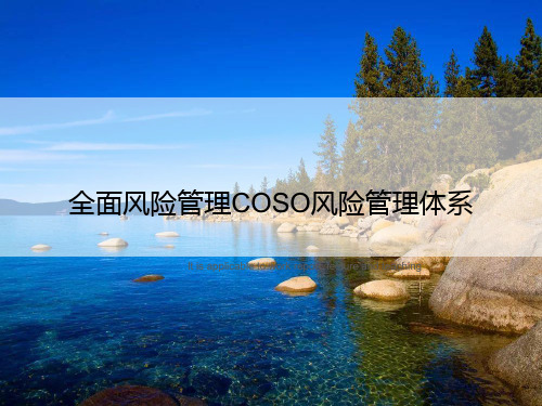 全面风险管理COSO风险管理体系